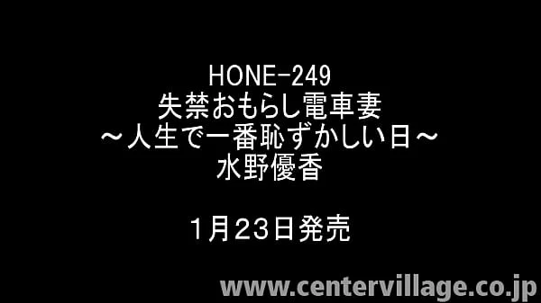 失禁おもらし電車妻～人生で一番恥ずかしい日～ 水野優香